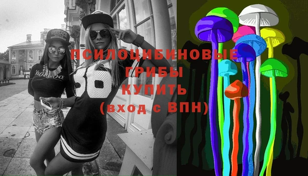 эйфоретик Ладушкин