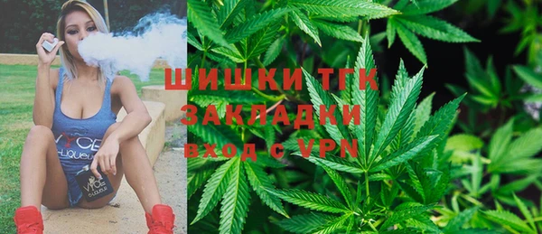 эйфоретик Ладушкин