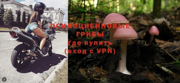 эйфоретик Ладушкин