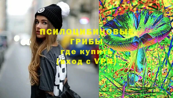 эйфоретик Ладушкин