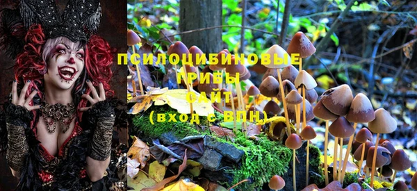 прущая мука Лагань
