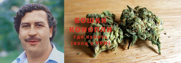 эйфоретик Ладушкин