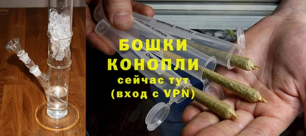 эйфоретик Ладушкин